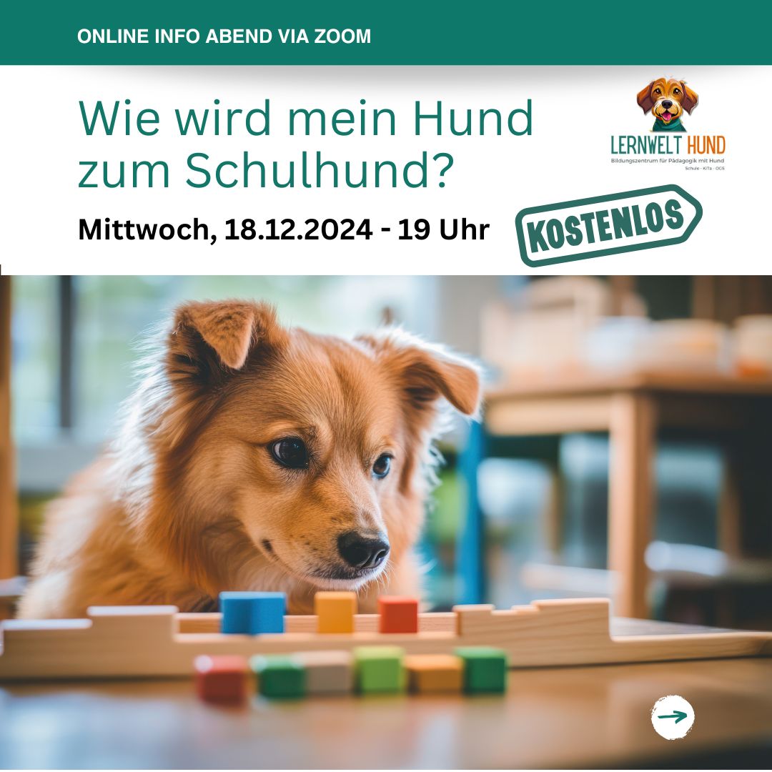 Kostenloser Online Info-Abend - Wie wird mein Hund zum Schulhund?