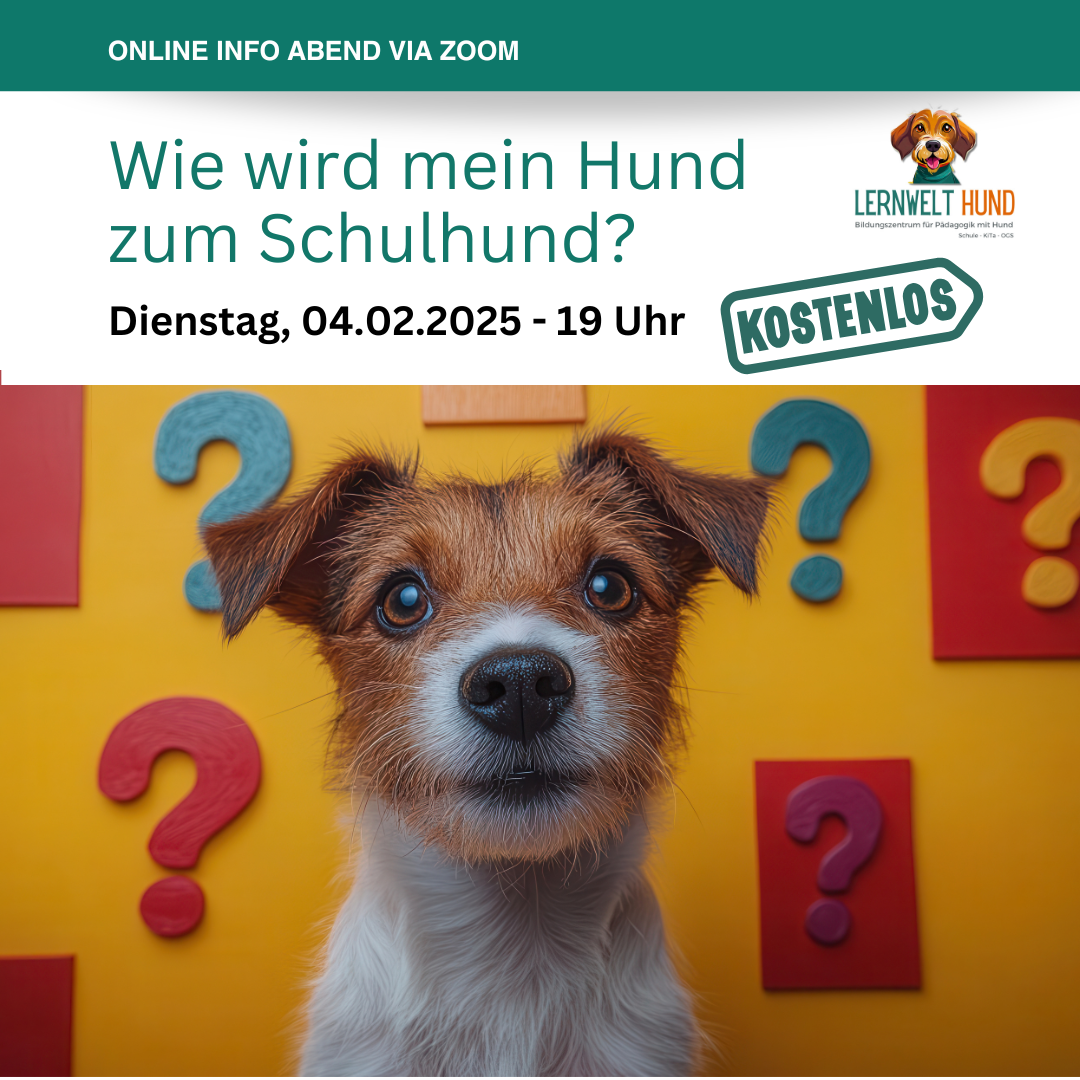 Kostenloser Online Info-Abend - Wie wird mein Hund zum Schulhund?